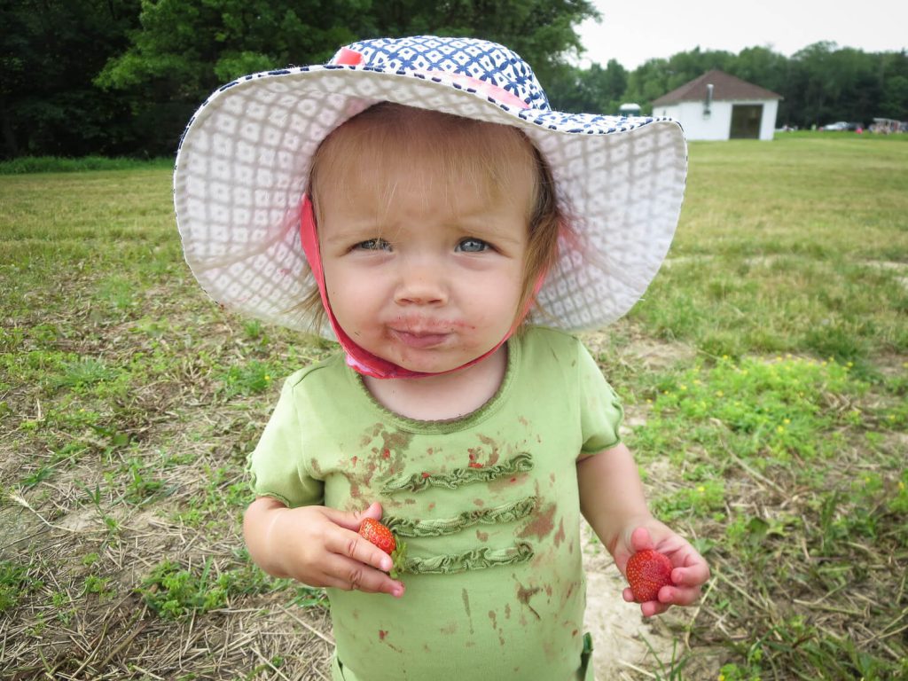 toddler girl wearing a blue and white sun hat eating messy red strawberries in a strawberry field at Krupp Farms