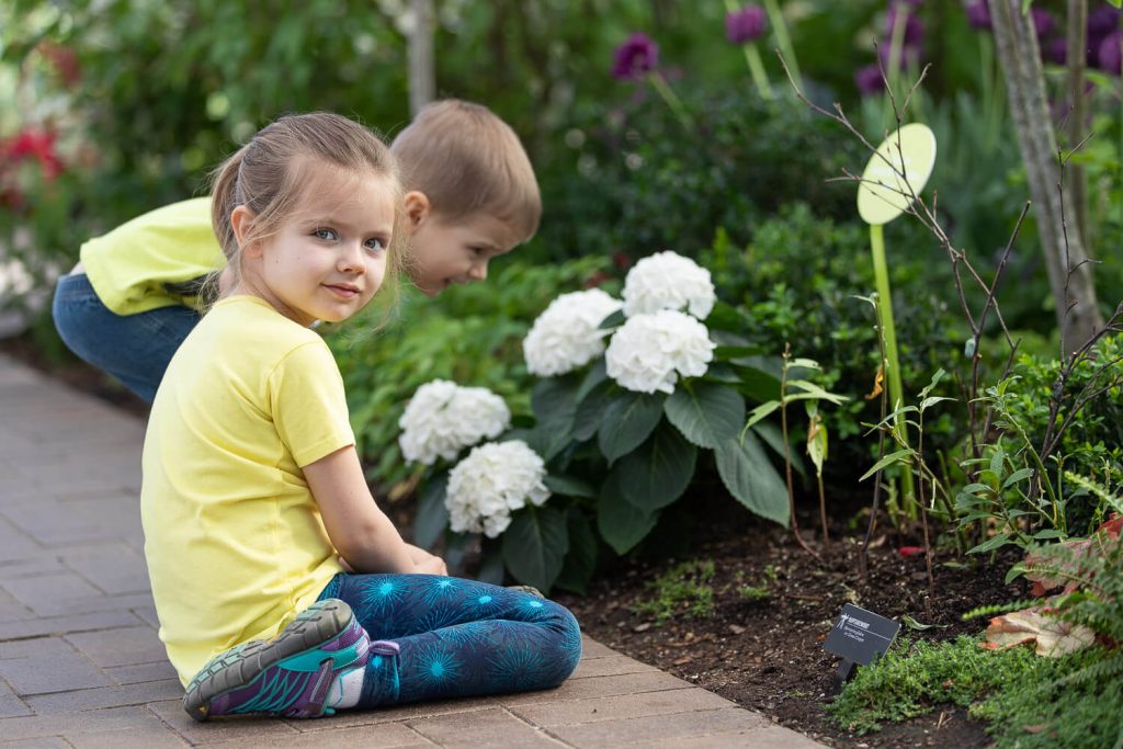 young girl and toddler boy looking for caterpillars among green plants at Meijer Gardens